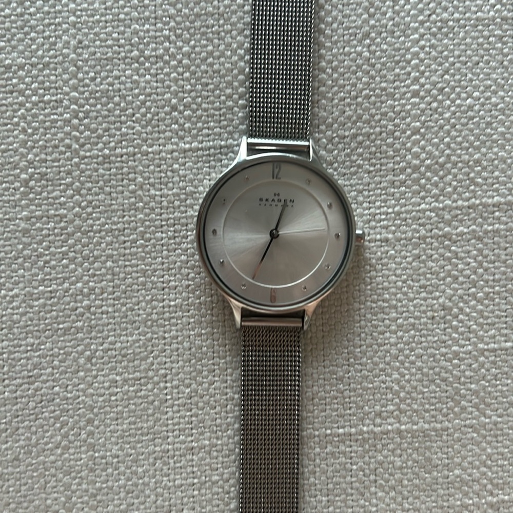Skagen Silver Watch (Needs new battery)